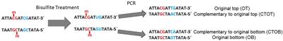 Performance of Mapping Approaches for Whole-Genome Bisulfite Sequencing Data in Crop Plants